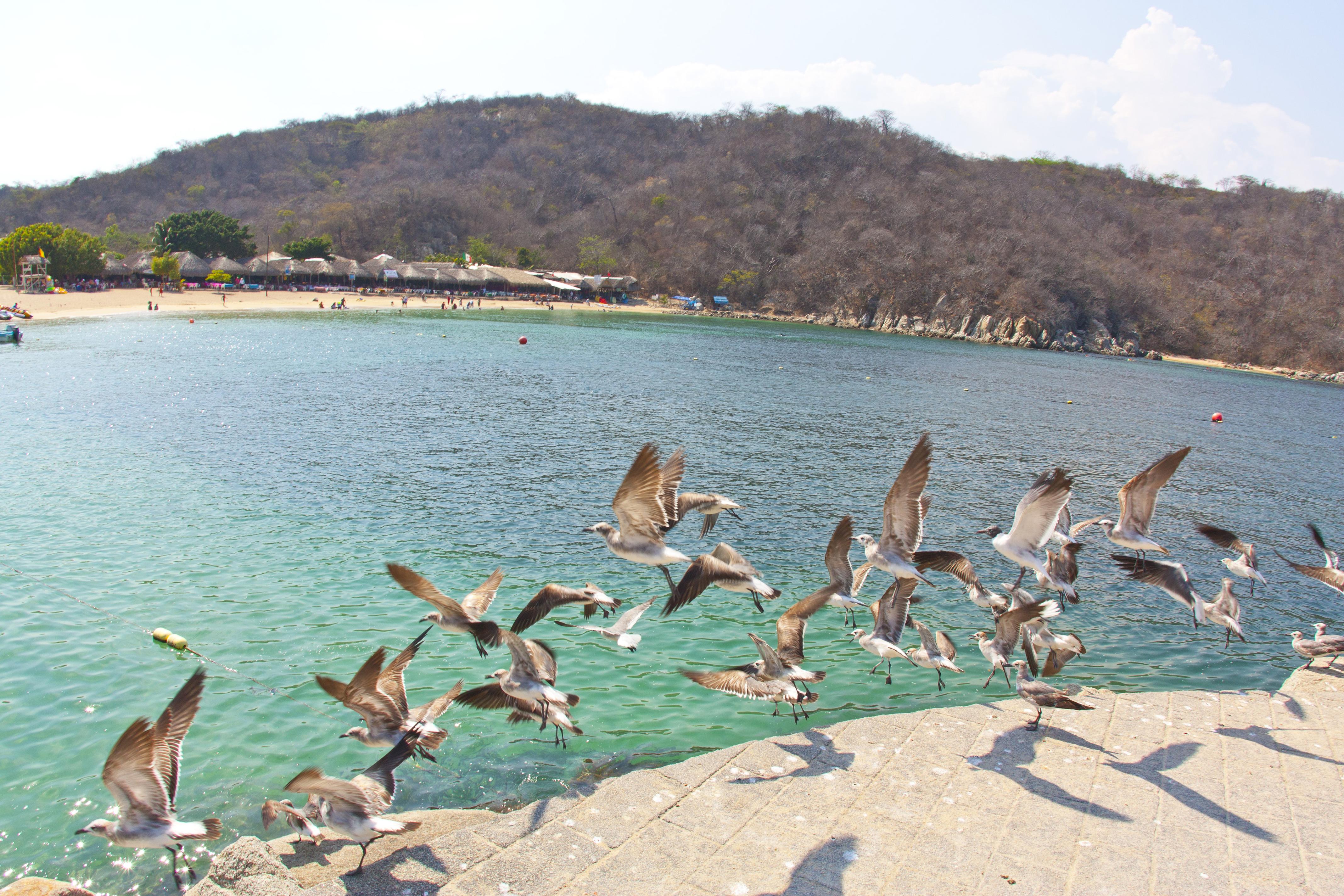 Villa Blanca Huatulco سانتا كروز هواتولكو المظهر الخارجي الصورة